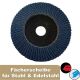 Straight EUROFLEX flap disc CLASSIC 125 x 22,23mm 40 / 1,5748
